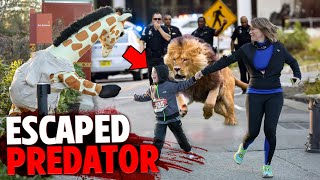 These 3 People Were EATEN ALIVE By Escaped Zoo Animals [upl. by Ingeberg794]