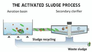 Activated sludge process and IFAS  Design rules  guideline [upl. by Rrats]