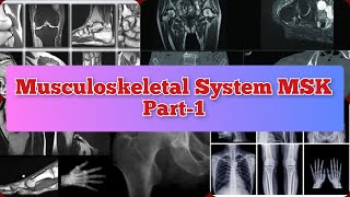 Radiology Viva Cases  7173  Musculoskeletal System Part1  MSK medical radiology ultrasound [upl. by Anoit]