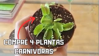 APRENDE A NO DAÑAR A TU PLANTA CARNÍVORA DESDE QUE LA OBTIENES  UNBOXING N° 6 [upl. by Adnohs]