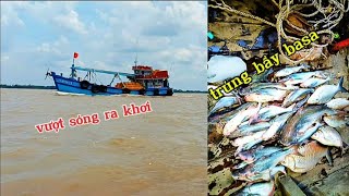 Vượt sóng ra khơi săn tìm bầy cá Khủng Út Quang Bến Tre T56 [upl. by Harhay]