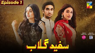 Sufaid Gulab Episode 1  Hamza sohail  Sehar Khan  Anmol Balooch  Fairy tale Cast pakistani drama [upl. by Adamina]