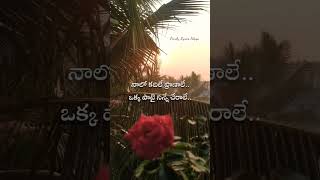 Rojave Chinni Rojave  Surya Vamsam Movie Songs lovelylyricstelugu ytshorts venkatesh lovesong [upl. by Adda]