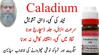 Caladium Seg explained By Doctor Muhammad Shafique [upl. by Alemrac]