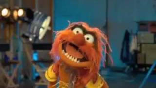 Animal  The Muppets  quotMahna Mahnaquot [upl. by Airetnohs]