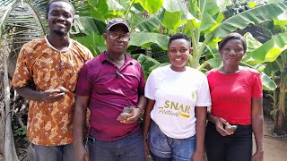 Snail farming in Ghana [upl. by Akehsyt]