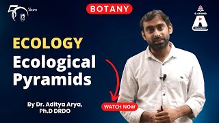 Ecology  Ecological Pyramids  Botany  S Chand Academy [upl. by Earised]