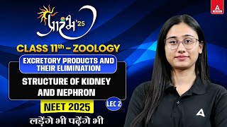 Excretory Products and their Elimination Class 11 L2 Kidney Structureamp Nephron Function NEET2025 [upl. by Annat]