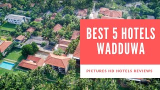 Top 5 Best Hotels in Wadduwa Sri Lanka  sorted by Rating Guests [upl. by Nawd]