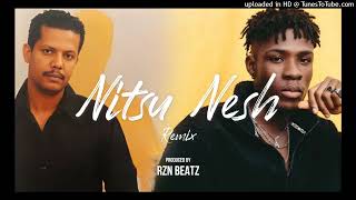 Geremew Asefa  Nitsu Nesh  Afrobeat Remix Prod Rzn Beatz [upl. by Orrocos]