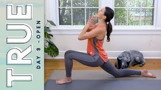 TRUE  Day 9  OPEN  Yoga With Adriene [upl. by Nimzay]