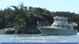 Ucluelet Whale Watching and Wildlife Tour  Archipelago Wildlife Cruises [upl. by Seibold974]