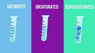 Saturated  Unsaturated and Supersaturated Solutions What is the difference [upl. by Dutch]