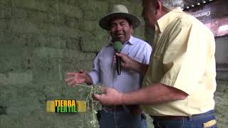 TIERRA FERTIL Ganado lechero en Querétaro 19 de julio 2014 [upl. by Ku122]