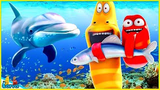 LARVA SEASON 3 EPISODE SEA AND FISH NEST VERSION LARVA  COMICS  MINI SERIES FROM ANIMATION LARVA [upl. by Cosenza]