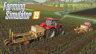 FS19  38 A Plantar Álamos con tractores Case [upl. by Nivrag844]