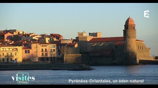 Le port de Collioure  Visites privées [upl. by Ashia229]