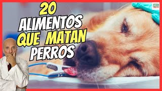 🔴 20 ALIMENTOS QUE PUEDEN LLEGAR A MATAR A TU PERRO 🆘 MORTALES PARA PERROS ADULTOS Y CACHORROS [upl. by Siro]