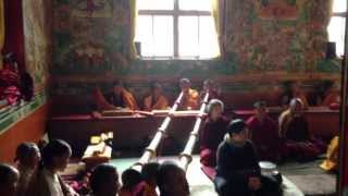 Tibetan Buddhist monks chanting in monastery in Nepal during a special puja [upl. by Fonseca]