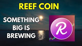 REEF COIN Price News Today Technical Analysis and Price Prediction 20232024 [upl. by Anegroeg]