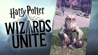 Harry Potter Wizards Unite Gameplay trapping a Demiguise [upl. by Ecnar396]