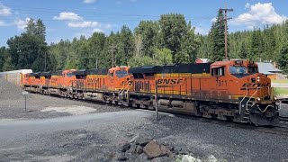 A westbound BNSF powers pass the Lake Cocolalla community 🇺🇸 [upl. by Thetes352]