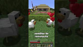 Los pollos de minecraft no comen solo semillas de trigo minecraftespañol minecrafttrucos [upl. by Enelyar824]