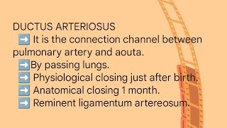 DUCTUS ARTERIOSUSDUCTUS VENOSUS FORAMEN OVALE [upl. by Mundford]