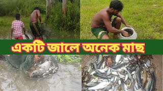 বৃষ্টির পানি থেকে একটি জাল দিয়ে অনেক মাছ ধরল। Dainikmanikgonj [upl. by Atiekal]