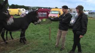 Le cheval à Libramont amp Présentation de la semaine de Gesves [upl. by Donavon779]