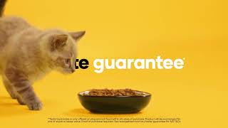 Petbarn Taste Guarantee [upl. by Lasonde]