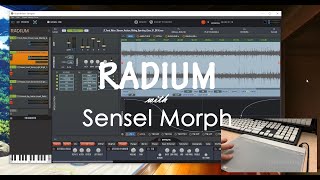 Soundminer Radium Sampler with Sensel Morph sword scrape sound design demonstration [upl. by Adiuqram]