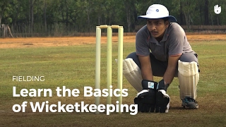 Learn the Basics of Wicketkeeping  Cricket [upl. by Atinav]