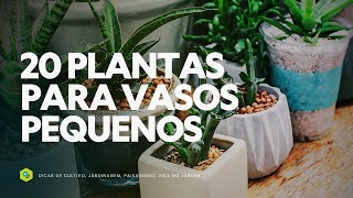 20 PLANTAS para VASOS PEQUENOS [upl. by Suzie]