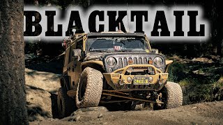 Tackling the Blacktail Wild Bill Jeep Badge of Honor Trail  Exploring Lakeside Montana [upl. by Maer561]