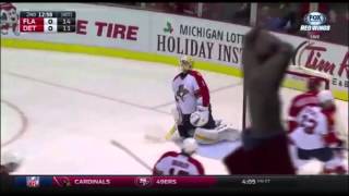 Dylan Larkin  Rookie Year Highlights  HD [upl. by Marena922]