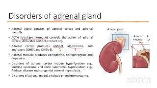 Endocrinology Lecture II البورد الأمريكي في التحاليل الطبيه [upl. by Malory304]