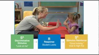 Discrete Trial Teaching  Autism Therapy Video [upl. by Fitzger329]