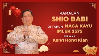 Ramalan Shio Babi di Tahun Naga Kayu 2024 Bersama Kang Hong Kian  Sonora Fengshui [upl. by Laspisa343]