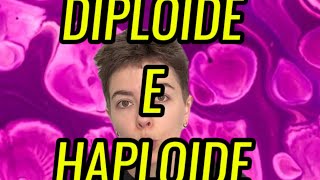 Qual a diferença entre célula diploide e haploide [upl. by Carolus]