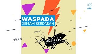 Waspada Demam Berdarah  Tirtografi [upl. by Annoeik467]