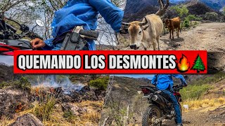 QU3MAND0 LOS DESMONTES ANTES QUE SE VENGA EL AGUA🌲VIDA EN LA SIERRA [upl. by Belva]