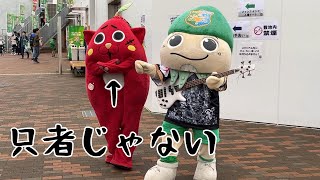 【にゃんごすたー】八戸遠征に行ったらヤバいゆるキャラいた【プライフーズスタジアム】 [upl. by Grefe]