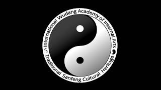 Die offizielle Wudang Schule in Wien  Tai Chi  Qi Gong  Kung Fu [upl. by Jemimah]