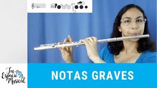 ✅ Notas Graves FLAUTA TRAVERSA 🎵 cómo tocar [upl. by Aneret]