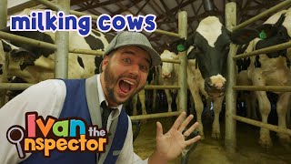 Ivan Inspects Milking Cows  Fun and Educational Videos for Kids and Toddlers [upl. by Gnourt]