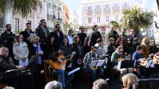 ZARZUELA CADIZ JOTA MAGNIFICO CONCIERTO DIA ANDALUCIA EN CADIZ 28 02 15 [upl. by Nalid969]