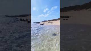 Clear water and sand dunes Corralejo Fuerteventura shorts corralejo [upl. by Tarton110]