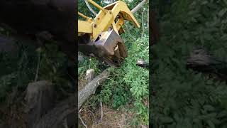 HydroAx 311B Tree Shear For sale wwwmarionauctioncom [upl. by Chu]