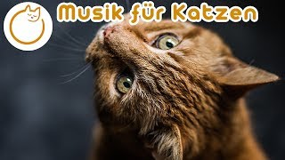 Sanfte beruhigende Musik für Katzen und Kätzchen [upl. by Adnahsam]